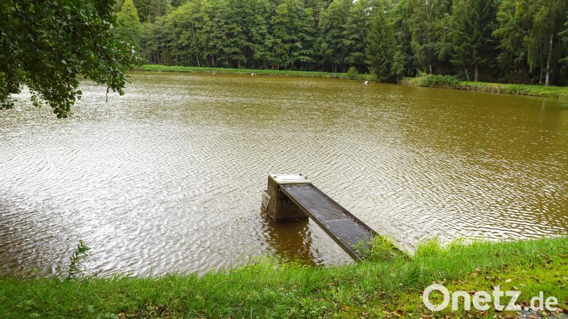 Auf der gegenüberliegenden Seite des Weihers, den ein Erlenwald markiert, sieht die Bauvoranfrage die Fischzuchtanlage vor. Bild: Bernhard Kreuzer