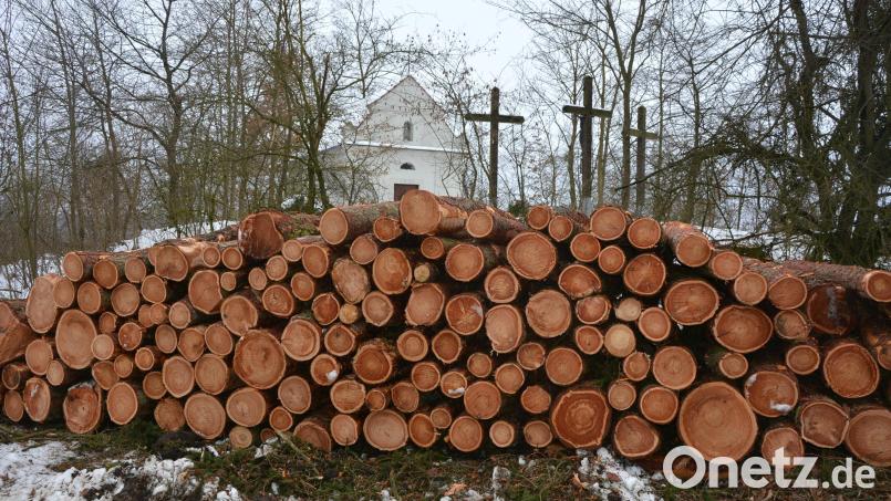 Hier lagern die abgesägten Lärchen und Fichten: Die Bäume wurden rund um die Konnersreuther Kalvarienbergkapelle gefällt. Bild: jr