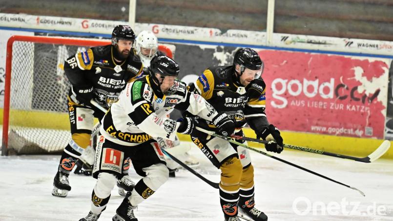 Führungsspieler: Martin Heinisch (rechts) hat mit seiner Erfahrung einen positiven Einfluss auf das Spiel des ERSC Amberg. Bild: Hubert Ziegler