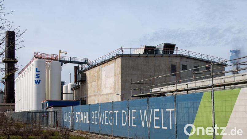 Der Bayerische Verwaltungsgerichtshof sieht es als legitim an, dass die Lech-Stahlwerke für eine Fabrikerweiterung Wald roden. (Archivbild) Bild: Stefan Puchner/dpa