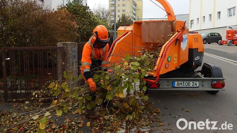 Die Stadtgärtnerei Amberg organisiert im März eine Häckselaktion für private Grundstückseigentümer. Interessierte können sich noch bis 19. Februar anmelden. Bild: Susanne Uschold/Stadt Amberg