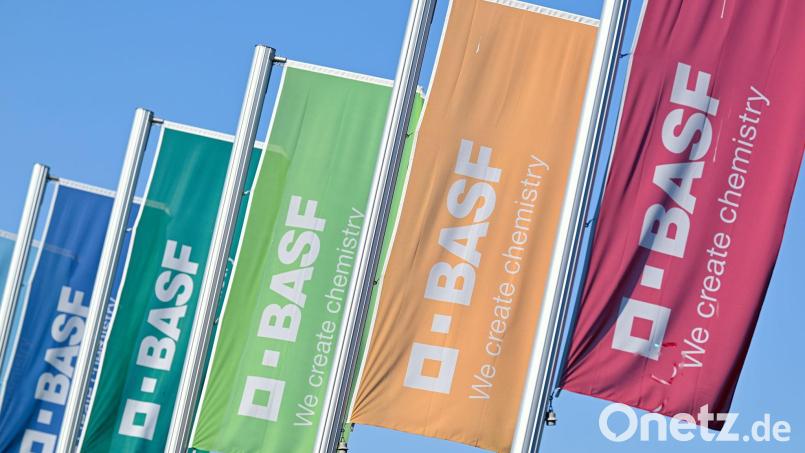 Der Bereich Global Business Services beschäftigt laut BASF rund 8.500 Mitarbeitende. (Symbolbild) Bild: Uwe Anspach/dpa