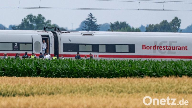 Für den mutmaßlichen Axt-Angreifer aus einem ICE in Niederbayern hat die Staatsanwaltschaft einen Antrag auf dauerhafte Unterbringung in einem psychiatrischen Krankenhaus gestellt. (Archivbild) Bild: Armin Weigel/dpa