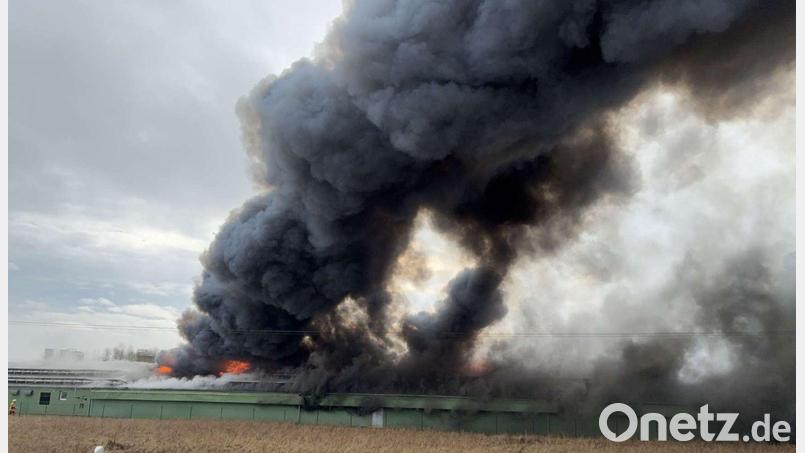Wegen des massiven Rauchs mussten die Einwohner von Pfatter Fenster und Türen geschlossen halten. Auch die nahe B8 wurde gesperrt. Bild: Neft/Polizeiinspektion Wörth a.d. Donau/dpa