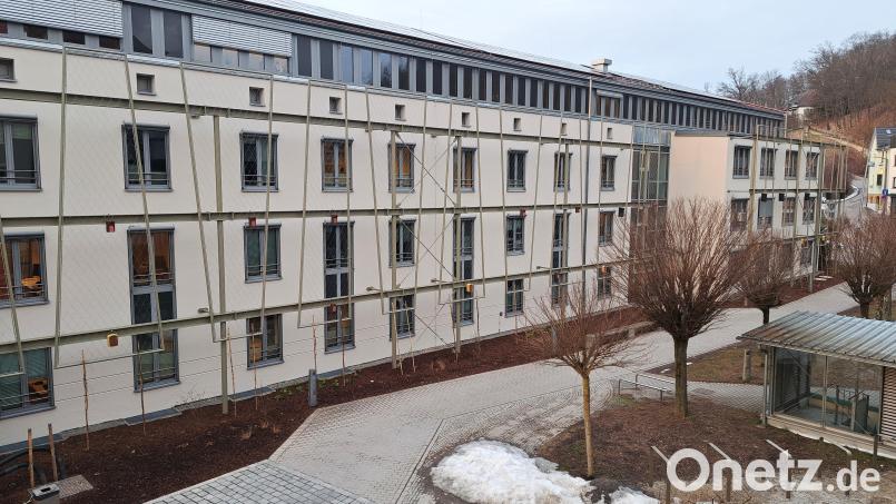 Der Westflügel des Schwandorfer Rathauses bekommt eine grüne Fassade. Die Gerüste sind bereits befestigt. Bild: Hirsch