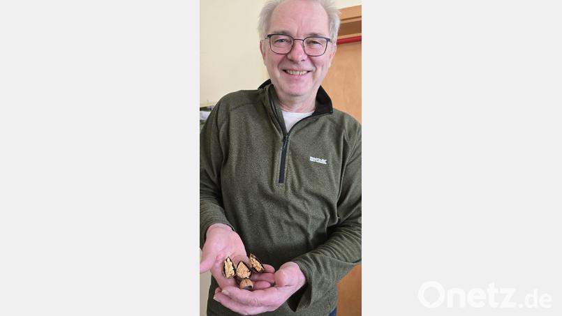Christoph Eckert mit seiner Walnuss-Krippe. Platz dafür ist in der kleinsten Stube. Bild: Thomas Sporrer