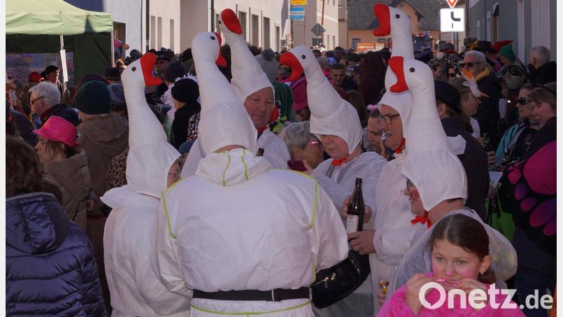 Beim Gänsemarsch 2025: Gänsegeschnatter vor der "Verräterklause" in Waldthurn. Archivbild: Franz Völkl