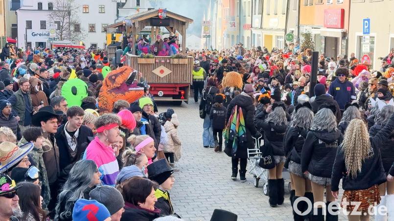Der Faschingszug in Neustadt/WN ist seit Jahren ein Besuchermagnet. Bild: Gabi Schönberger