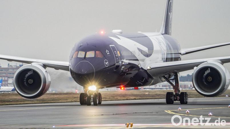 Nur noch drei Business-Sitze in der Boeing 787 bleiben gesperrt. (Archivbild) Bild: Andreas Arnold/dpa