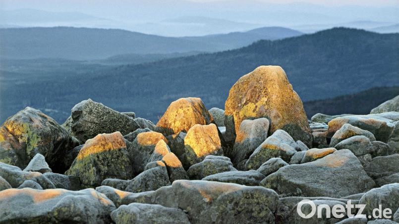 Die vom Raureif überzogenen Gipfelfelsen des Lusen erstrahlen vor den noch im Schatten liegenden Waldbergen im ersten Sonnenlicht. Magische Momente für den Frühaufsteher im Nationalpark Bayerischer Wald. Bild: Günter Moser