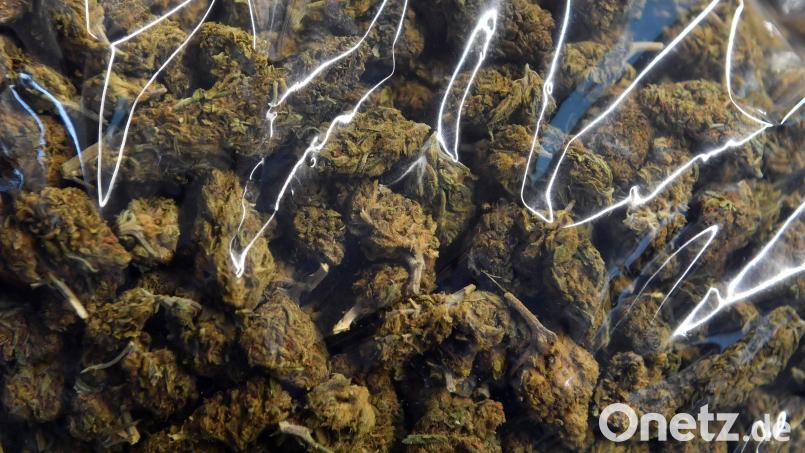 Ein Amberger hatte Drogen im Internet bestellt. Zivilfahnder kontrollierten an einer Autobahnraststätte den Kofferraum des Kuriers und entdeckten die Marihuana-Box, bevor sie zugestellt werden konnte. Der vermeintliche Empfänger musste sich jetzt vor dem Amtsgericht Amberg verantworten. Symbolbild: Hendrik Schmidt