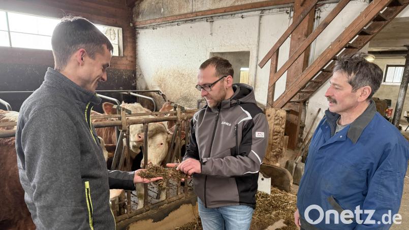 Ein Besuch im Öko-Kuhstall: Bio-Bauer Thomas Hösl (Mitte) mit seinem Vater Erwin (rechts) und Mathias Beutner, Pflanzenbauberater beim AELF Tirschenreuth-Weiden. Bild: Gabi Schönberger