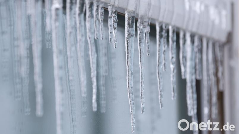 Volontärin Jasmin findet die Winterlandschaft zwar schön, freut sich aber trotzdem schon auf die wärmere Zeit im Jahr. Symbolbild: Matthias Bein/dpa