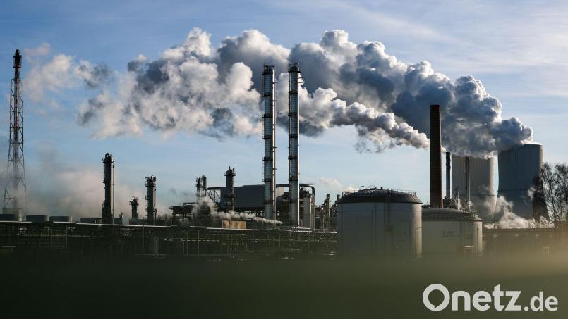 Schneider will die Chemieindustrie entlasten. (Archivbild) Bild: Jan Woitas/dpa