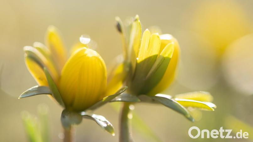 Manche Menschen reagieren stärker als andere auf Wetteränderungen. (Symbolbild) Bild: Sebastian Kahnert/dpa