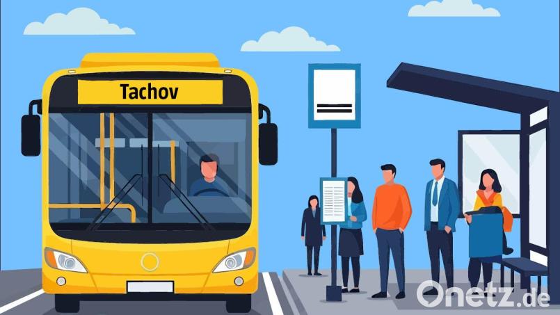 Nächster Halt: Tachov. Noch in diesem Jahr soll es eine feste Buslinie von Tirschenreuth nach Tschechien geben. Grafik: Ganzmann