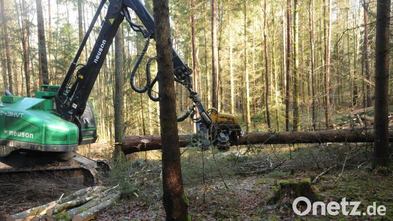 Das 29-Tonnen-Monster bewegt sich auf Raupenketten – bodenschonender als mit Rädern. Bild: ge