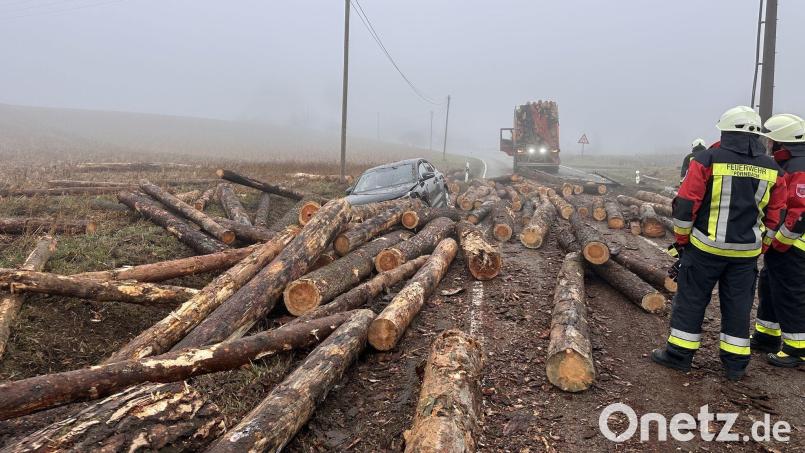 Die Holzstämme rollten über Fahrbahn und Bankett und trafen unter anderem einen Wagen im Gegenverkehr. (Symbolbild) Bild: Kirberg/Vifogra GmbH/dpa
