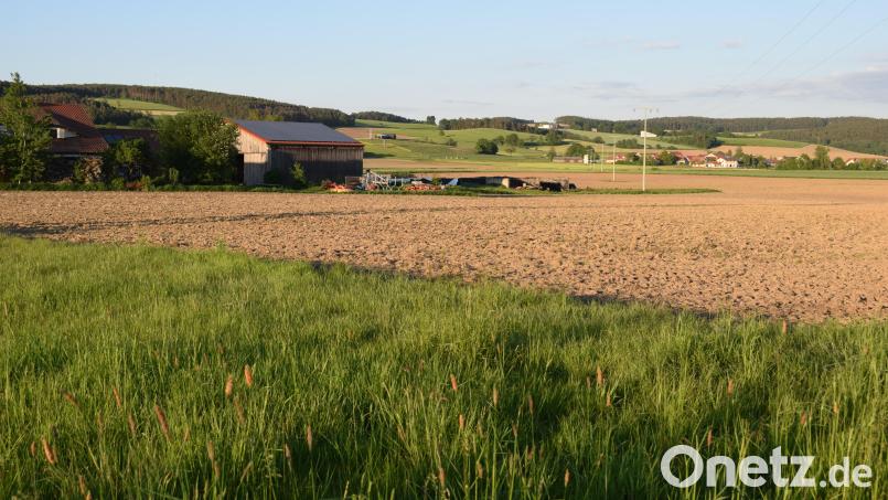 Südöstlich von Dietstätt (Gemarkung Weiding) soll eine "Agri-PV-Anlage" gebaut werden. Derzeit läuft das Genehmigungsverfahren. Bild: bnr