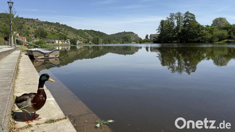 Die Feuerwehr war gemeinsam mit Wasserrettern in Einsatz, um einen auf der Naab gekenterten Kajakfahrer aus dem Wasser zu retten. Symbolbild: Hohlheimer