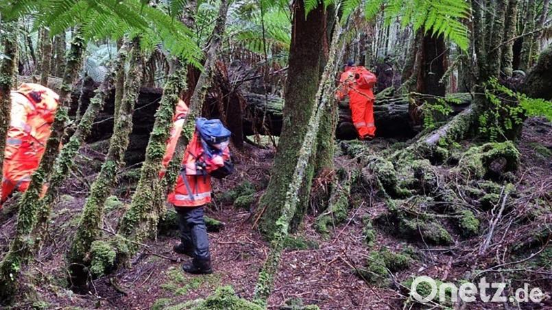 Einsatzkräfte suchten 2023 die dichten Wälder Tasmaniens nach der 31-Jährigen ab. (Archivbild) Bild: Supplied/TASMANIA POLICE/AAP/dpa