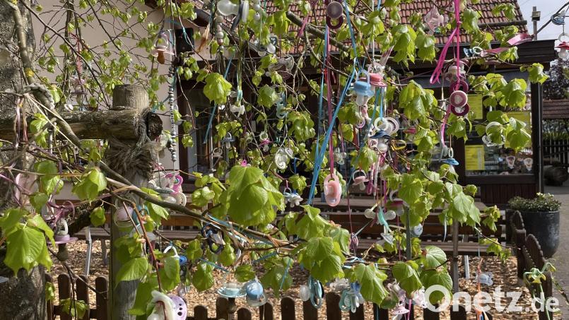 Ein Schnullerbaum soll Kindern die Trennung vom Schnuller erleichtern Bild: Stefanie Henze