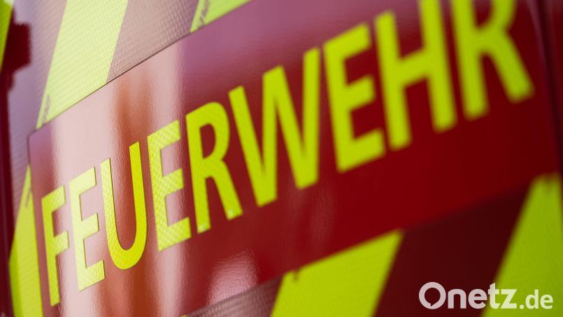 Der Arbeiter war gerade mit Baumpflegearbeiten beschäftigt. (Symbolbild) Bild: Marijan Murat/dpa