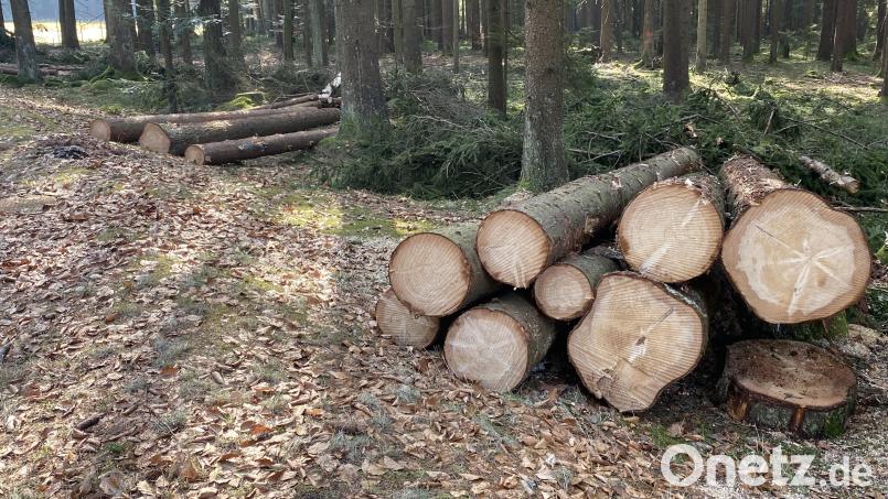 Die ertragreiche Holzernte im Körperschaftswald bringt einen Überschuss. Bild: Josef Glas