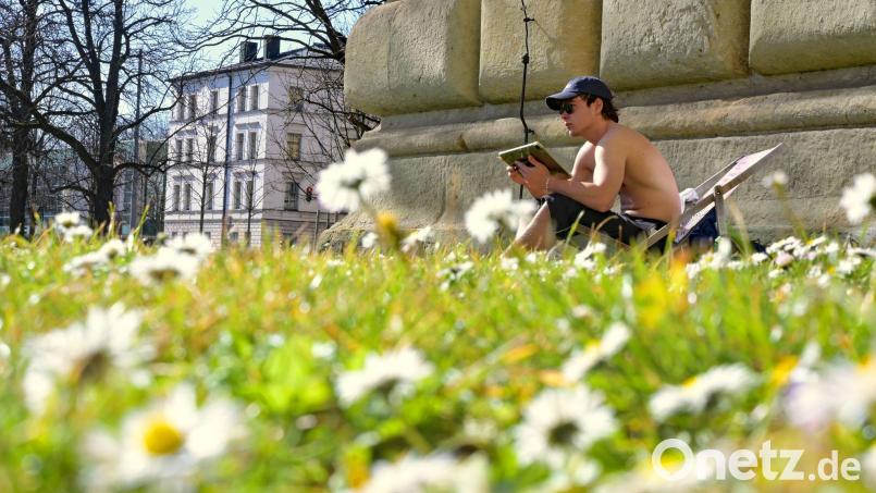 In weiten Teilen des Freistaats zeigt sich der Frühling mit Sonnenschein. Bild: Malin Wunderlich/dpa
