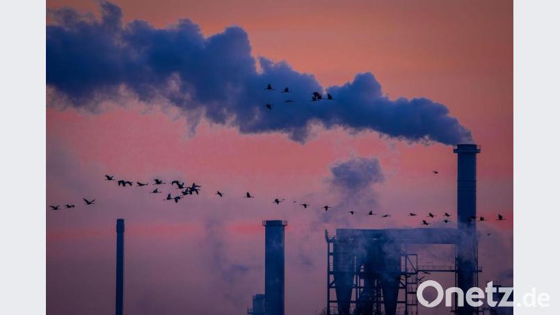 Noch rauchen die Kamine in der Oberpfalz. Aber wie geht es weiter mit dem Verarbeitenden Gewerbe? Symbolbild: Jens Büttner/dpa
