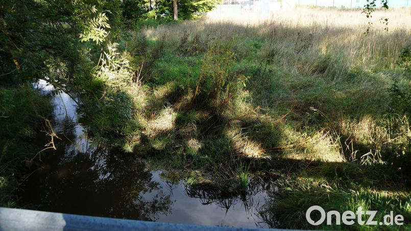 Ein stark alkoholisierter Mann stürzte in Neunburg vorm Wald in den Rötzerbach. Archivbild: wel