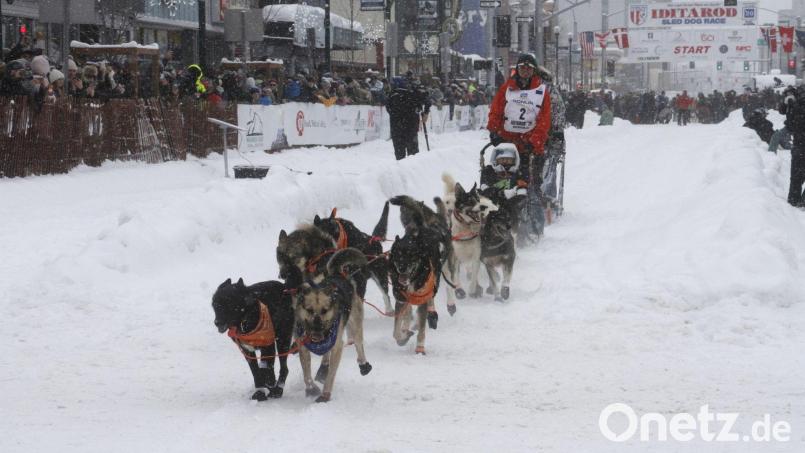 Das Schlittenhunderennen Iditarod ist gestartet. Bild: Mark Thiessen/AP/dpa
