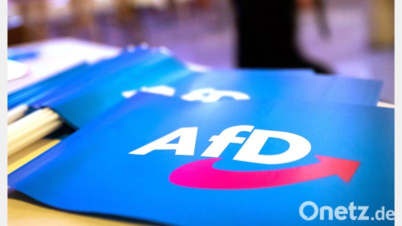 Die AfD hat den Einzug in die Stichwahlen von Landkreisen, kreisfreien Städten und großen Kommunen nach den vorläufigen Ergebnissen verpasst. (Symbolfoto) Bild: Daniel Karmann/dpa