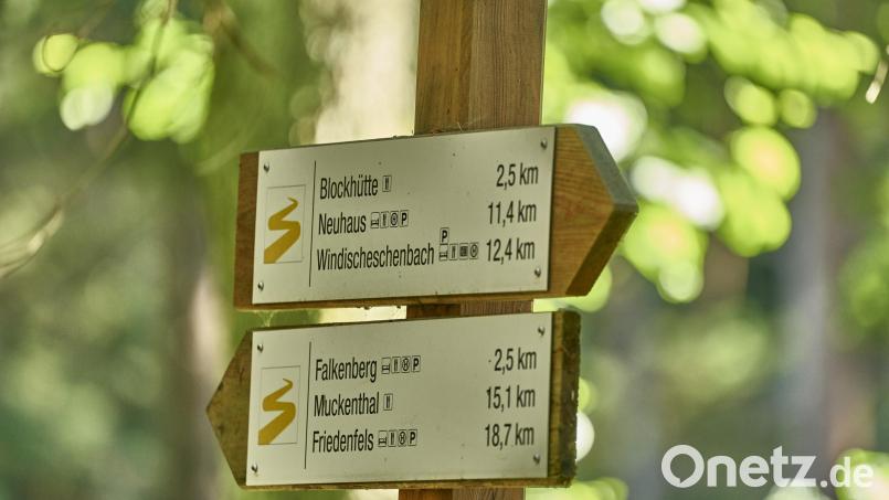 Der Goldsteig ist für die Wahl „Deutschlands Schönster Wanderweg 2026″ nominiert. Bild: Marco Felgenhauer/TVO/WoildlifePhotography