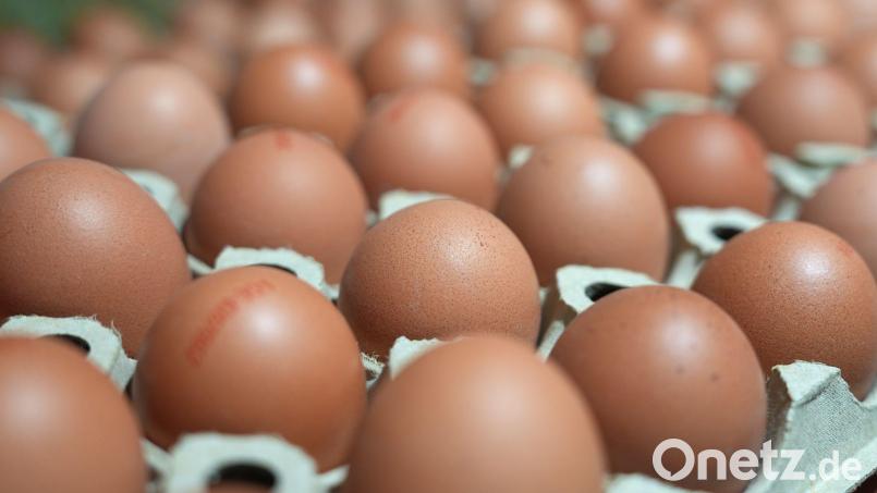 Die Verbraucher essen mehr Eier als noch vor ein paar Jahren. Bild: Marcus Brandt/dpa
