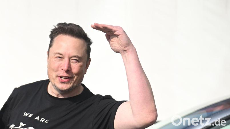 Elon Musk ist mit Abstand der reichste Mensch der Welt. (Archivbild) Bild: Sebastian Gollnow/dpa
