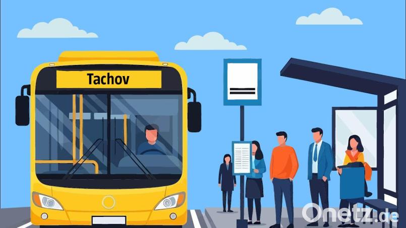 Nächster Halt: Tachov. Im Juni soll Buslinie von Tirschenreuth nach Tschechien starten. Grafik: Ganzmann