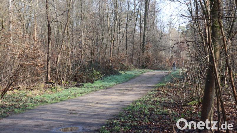 Die Ermittler haben erste Details nach dem Fund einer toten Frau in einem Wald bei Mannheim bekanntgegeben. Bild: Rene Priebe/dpa