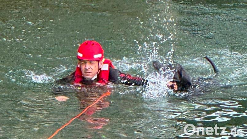 Ein speziell ausgebildeter Strömungsretter holte den verunglückten Vierbeiner aus dem Fluss. Bild: -/Berufsfeuerwehr München/dpa