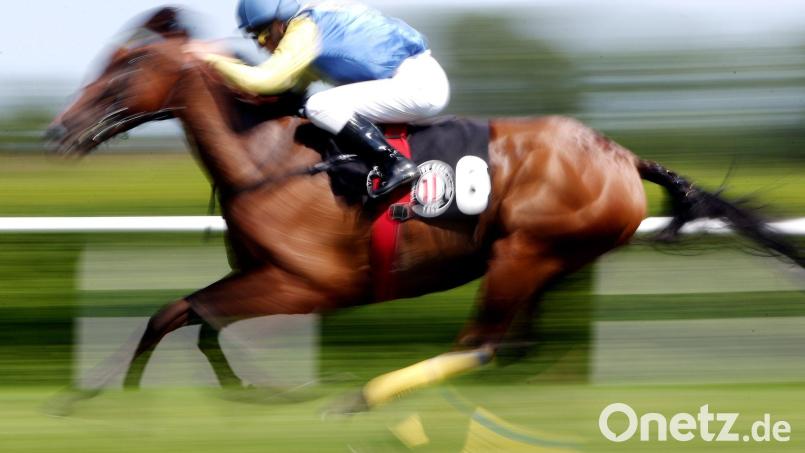 In einer Suppenküche findet ein Gast in seinem Essen den Mikrochip eines ehemaligen Rennpferdes. (Symbolfoto) Bild: Malte Christians/dpa/dpa-tmn