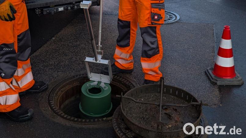 Rattenbekämpfung in Amberg: Die Stadt setzt auf die sogenannte Köderschutzboxen. Bild: Firma ball-b