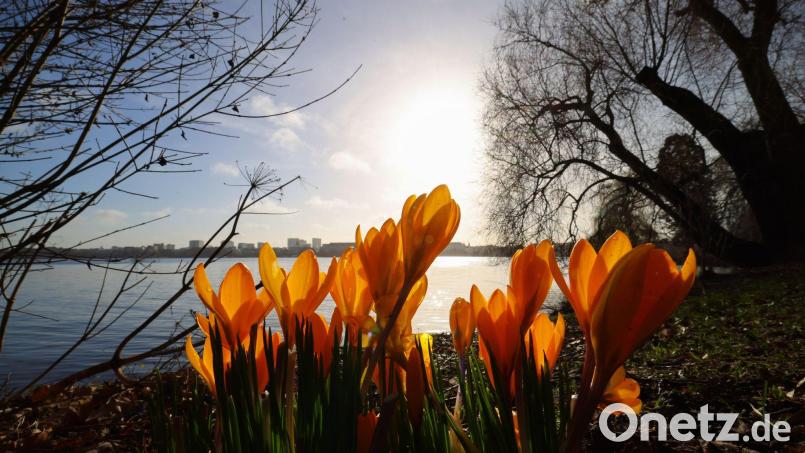 In der nächsten Woche wird es wieder wärmer und sonniger. Bild: Christian Charisius/dpa