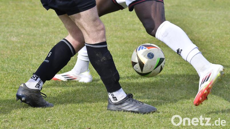 Fußball-Bayernligist FC Eintracht Bamberg braucht einen neuen Trainer. Symbolbild: Hubert Ziegler
