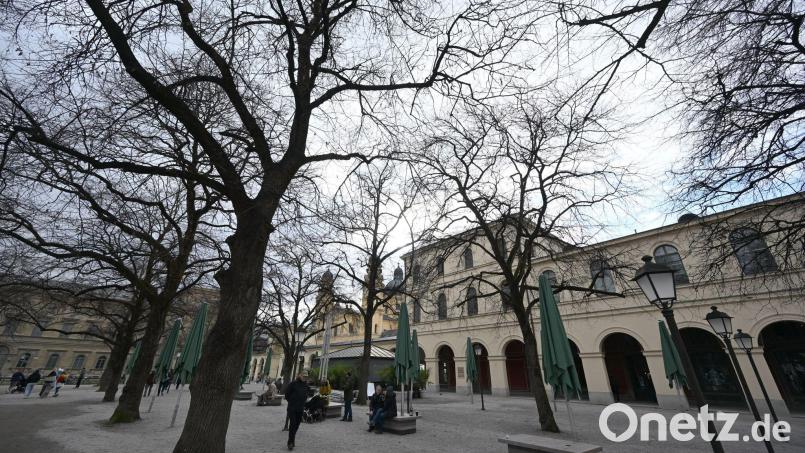 Erst bleibt es trüb - aber Besserung ist in Sicht. Bild: Felix Hörhager/dpa