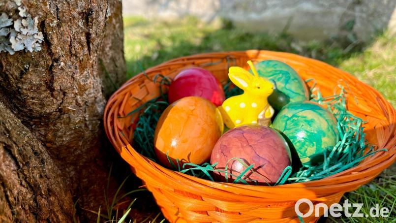 Auch im Bio-Bereich sind vor Ostern Eier-Engpässe zu erwarten. Bild: Gabi Schönberger