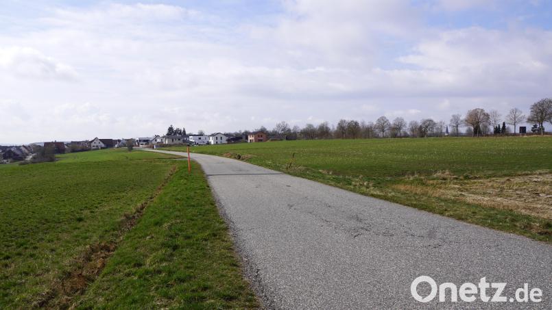 Das Baugebiet Lohäcker wird um den Bauabschnitt II erweitert. Die landwirtschaftlichen Flächen im Vordergrund sind beplant. Bild: bkr