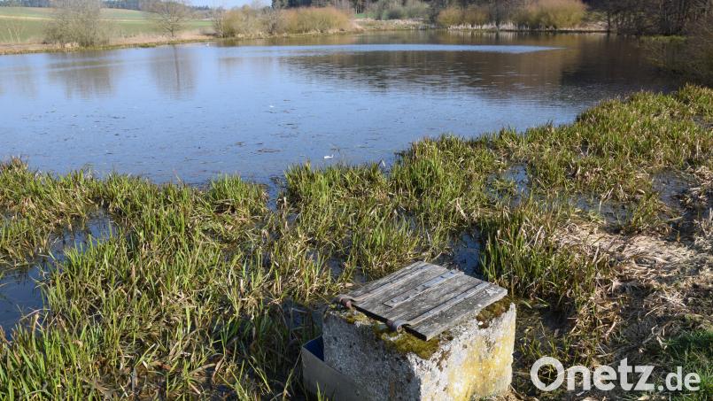 In der Gemeinde Ebermannsdorf wurden die Wasser- und Abwassergebühren für die nächsten vier Jahre neu berechnet. Hier ein Blick auf den Klärteich der Anlage Pittersberg bei Breitenbrunn. Kostensteigerung beim Abwasser gab es für allem wegen gestiegener Energie, Sach- und Personalkosten, hörte man in der Sitzung. Bild: bö