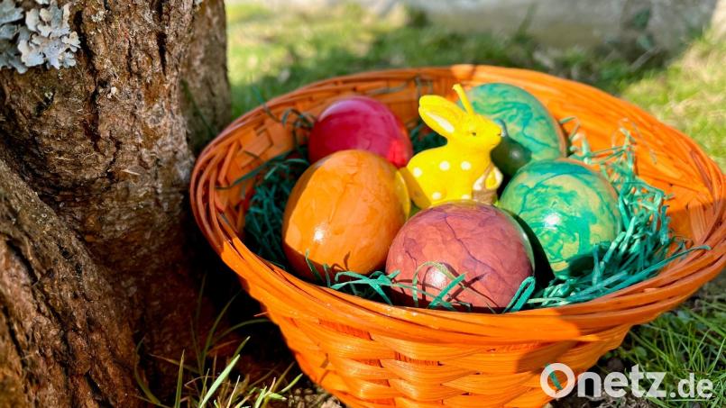 Auch im Bio-Bereich sind vor Ostern Eier-Engpässe zu erwarten. Bild: Gabi Schönberger