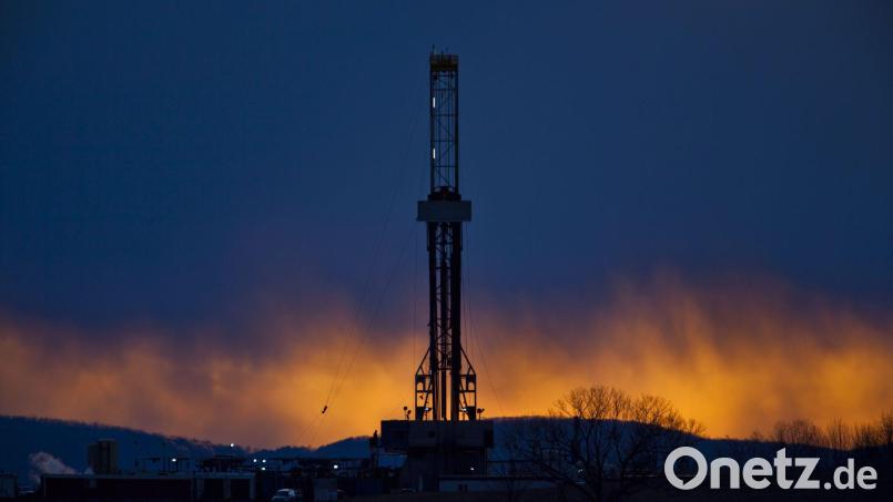 Einheimische Rohstoffe rücken in unsicheren Zeiten wieder verstärkt in den Blick. Bild: Jim Lo Scalzo/EPA/dpa