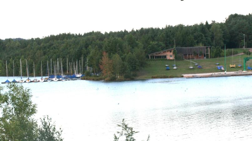 Blick auf das Yachtclub-Gelände am Steinberger See: Links davon will die Binner & Meixner Massivhaus GmbH sieben Wochendhäuser errichten und dazu den Wald roden. Bild: Hirsch